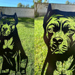 Pit Bull Custom Metal Dog Portrait